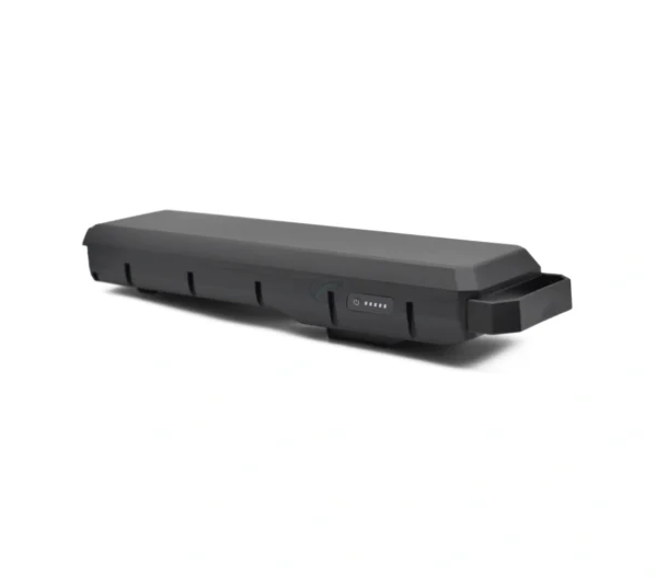 Bosch PowerPack 540 | Performance/Active | Gepäckträger | von E-Bike Vision