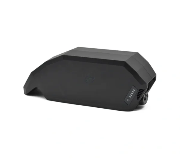Bosch PowerPack 700 | Performance/Active | Rahmen | von E-Bike Vision