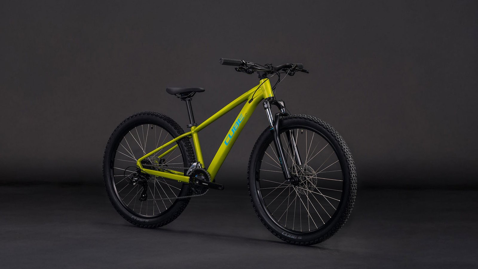 Cube Acid 260 Disc lizard´n´blue – Bild 6