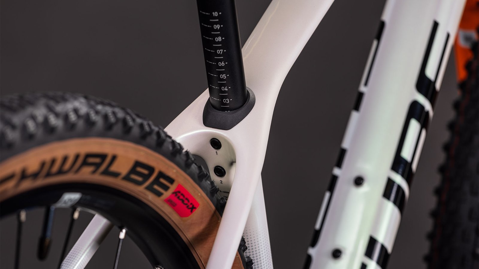 Cube Phenix C:62 Rookie SLX teamline – Bild 2