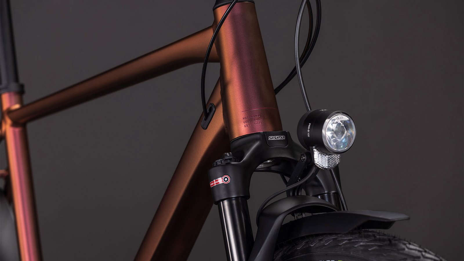 Cube Kathmandu Pro sunglow´n´prizm – Bild 5