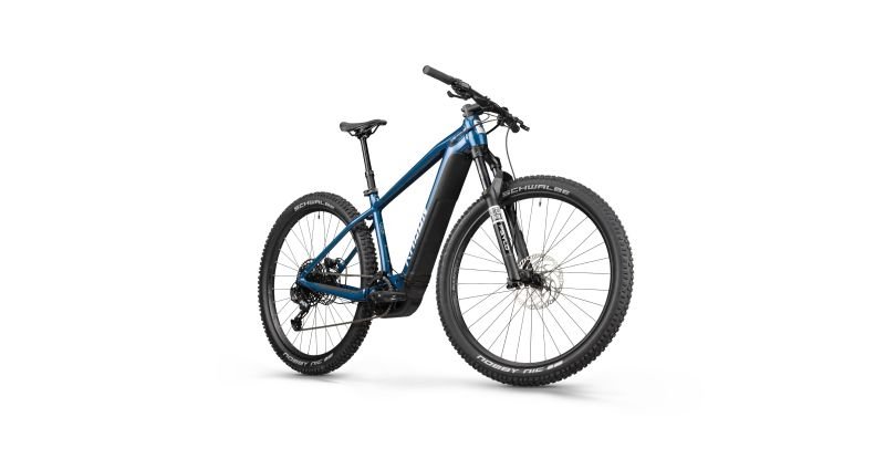 Radon JEALOUS HYBRID 9.0 750 – Bild 6