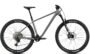 Radon CRAGGER 7.0