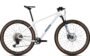 Radon JEALOUS 8.0
