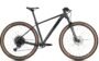 Radon JEALOUS AL 10.0 SL
