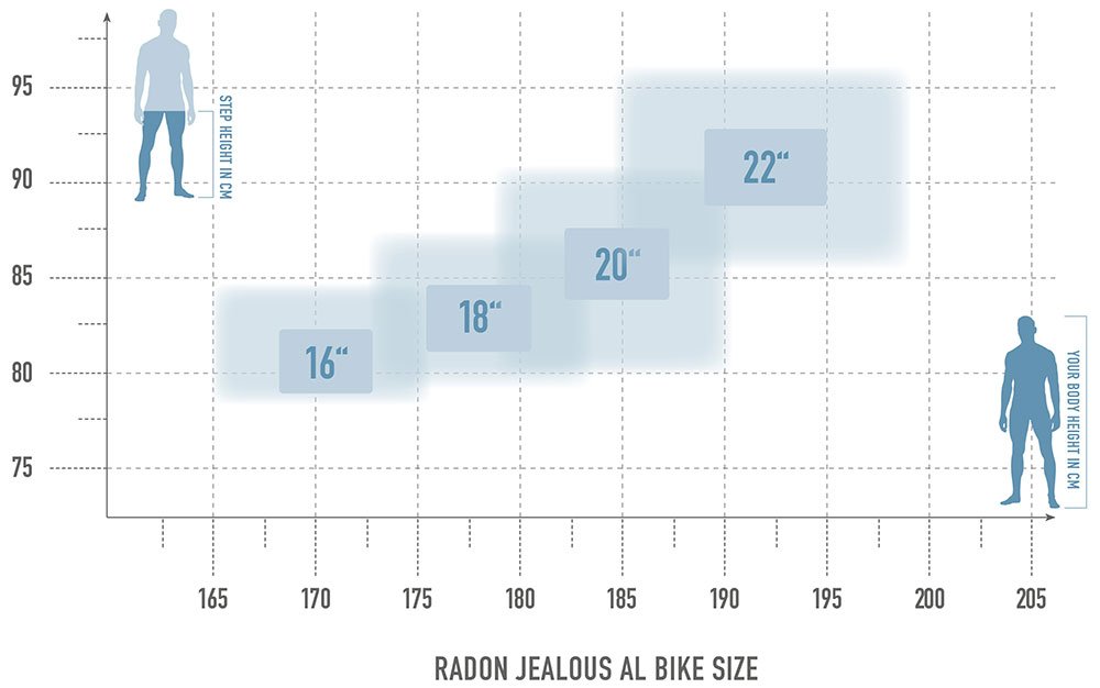 Radon Jealous AL 8.0 HD